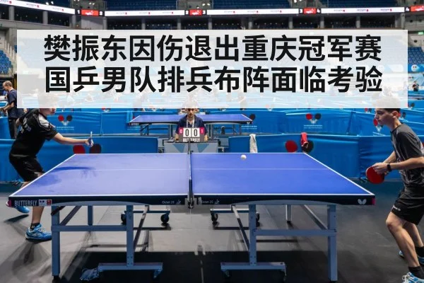 樊振东因伤退出重庆冠军赛 国乒男队排兵布阵面临考验